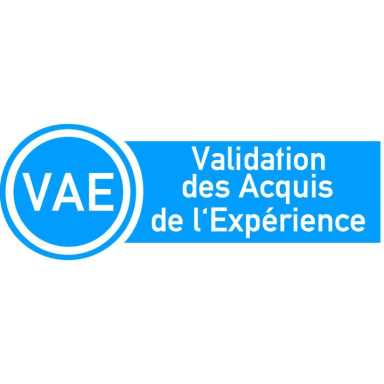 VAE Illustration